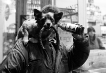 40 pies kielb 95 net200